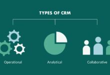 CRM AI