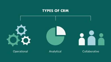 CRM AI